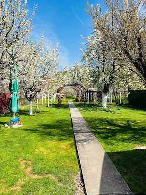 Casa in Ramnicu Valcea - imagine 7