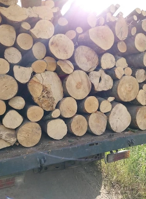 Vand lemne de foc carpen cu fag 