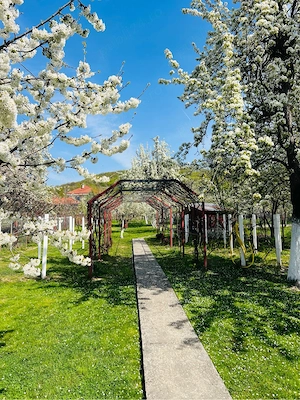 Casa in Ramnicu Valcea - imagine 8