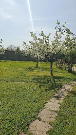 Vând teren intravilan îngrădit cartier Banu Maracine-Ford Carcea - imagine 2