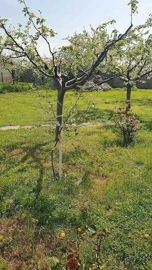 Vând teren intravilan îngrădit cartier Banu Maracine-Ford Carcea - imagine 5