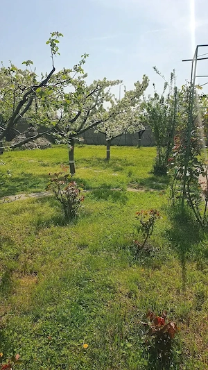 Vând teren intravilan îngrădit cartier Banu Maracine-Ford Carcea - imagine 4