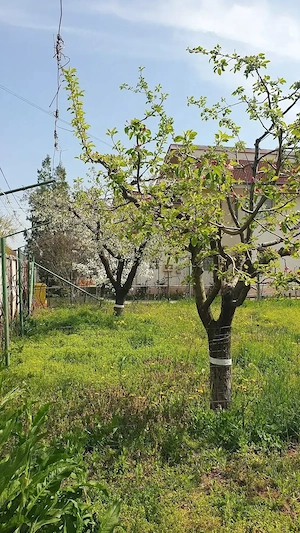 Vând teren intravilan îngrădit cartier Banu Maracine-Ford Carcea