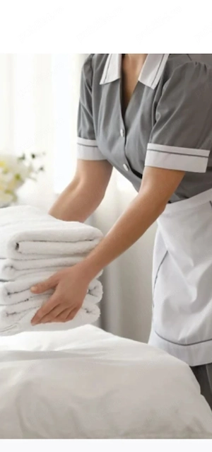 Curățenie domiciliu 