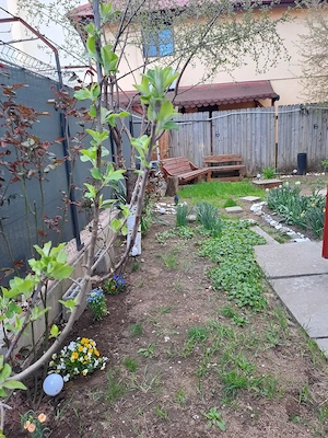 Apartament 3cam+curte+terasa din lemn - imagine 6