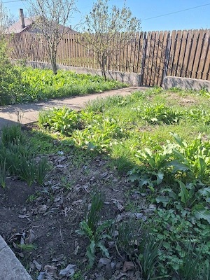 Casă de vânzare Comuna Grădiștea - imagine 8