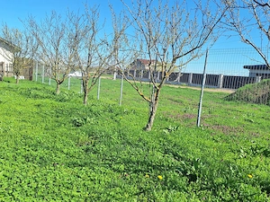 Casă de vânzare Comuna Grădiștea - imagine 10