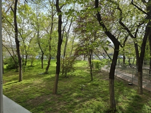 Apartament 2 camere zona Auchan Vitan - Calea VItan - imagine 8