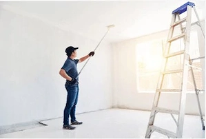 Caut zugrav interior-exterior 