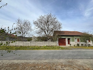 Casă de vânzare,localitatea Criciova,Județul Timiș