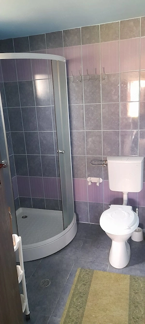 Vanzare casa-sat Santioana, comuna Taga - imagine 7