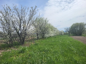 Vand casa in Urvind - imagine 7