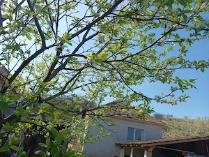 Casa de Vanzare in Comuna Vintu de Jos- Sat Vurpăr (Codrișor)  - imagine 3