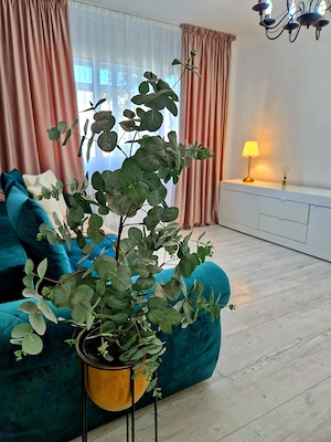 PERSOANA FIZICA !!! Apartament 2 camere Podul Ros - Cantemir - Campus Palas , modelul cu 3 debarale  - imagine 4