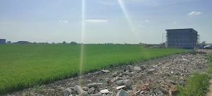 Teren construcție-hală Calea Aradului-Sânandrei de vânzare 