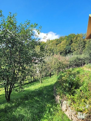 case tip pensiune  - imagine 4