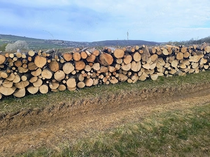 vand lemne de foc esenta tare carpen cu stejar transport acasa  - imagine 3