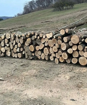 vand lemne de foc esenta tare carpen cu stejar transport acasa  - imagine 4