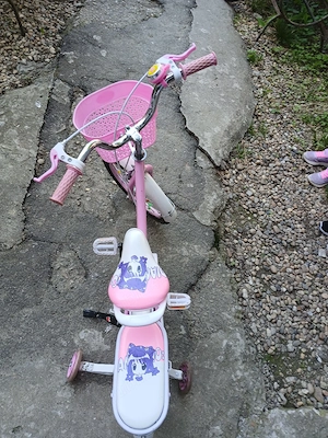 Bicicleta fetite - imagine 5