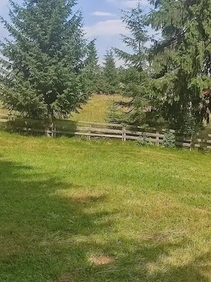 Vind teren Belis - imagine 3