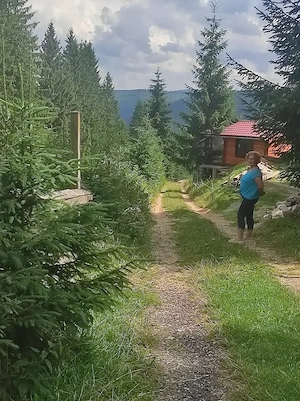 Vind teren Belis - imagine 4