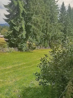 Vind teren Belis - imagine 8