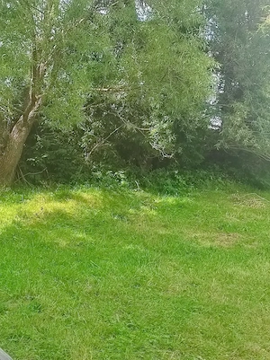 Vind teren Belis - imagine 9