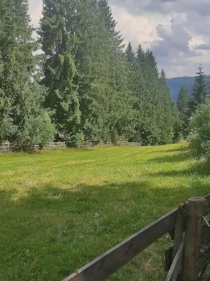 Vind teren Belis - imagine 2