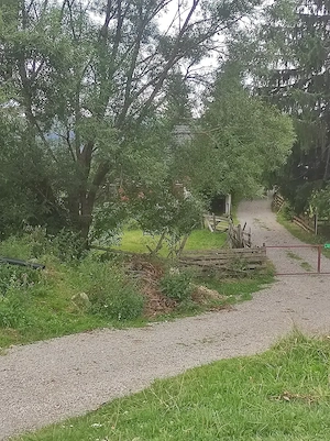 Vind teren Belis - imagine 6