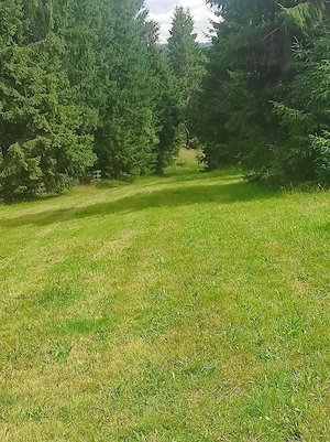 Vind teren Belis - imagine 10