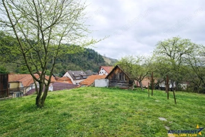 Casa, cu 850 mp gradina, Centrul Istoric - Schei, Brasov - imagine 5