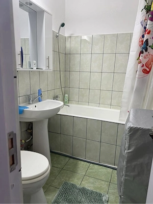 Vand garsoniera brazda  - imagine 5