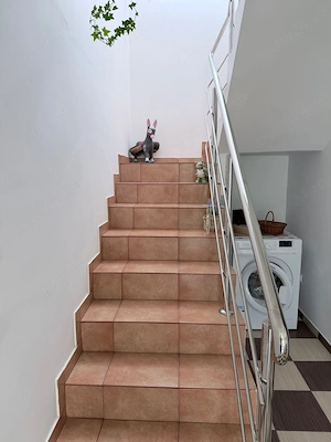 vila p+1 Budeasa principala, 80mp pe nivel 4 camere,dependinte, teren 2300mp 1320000euro - imagine 8