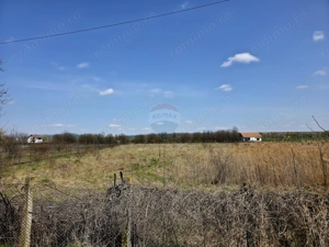 Teren 7,000mp Girov / deschidere 45 metri - imagine 8