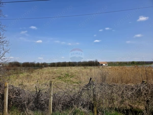 Teren 7,000mp Girov / deschidere 45 metri - imagine 2