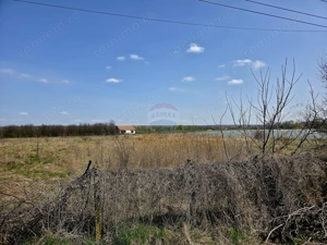 Teren 7,000mp Girov / deschidere 45 metri - imagine 5