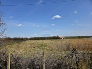 Teren 7,000mp Girov / deschidere 45 metri - imagine 12