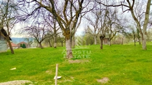 Casa cu potential turistic- Zona Varfurile - imagine 5