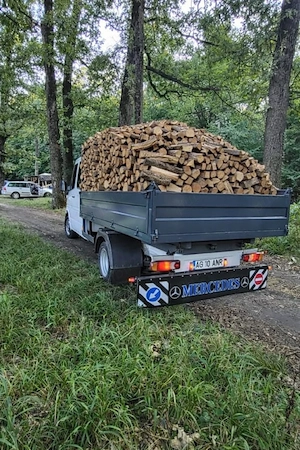 lemne de foc 