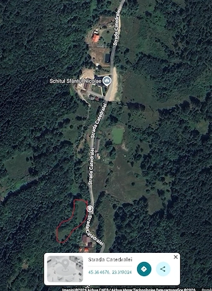 Teren superb 6.855 mp în Vulcan   Zona Schitul Sf. Nicolae - imagine 8