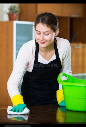 Doamna Curatenie  MENAJ o data pe saptamana 600 ron luna