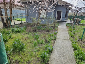 Direct proprietar,vând casa 3 camere in Urziceni cu teren 900mp schimb cu apartament in Bucuresti - imagine 8