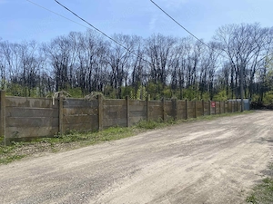 Teren Muntele Gaina lipit de padure - PUD 4 vile lux  - imagine 3