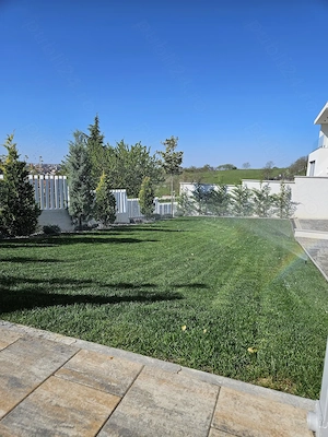 Servici de intretinere spatii verzi 