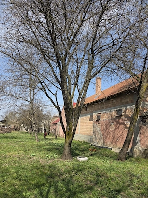 Teren intravilan + casa batraneasca Prejmer