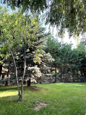 Casa individuala 4 camere  Balotesti Good Afternoon Residence - imagine 18