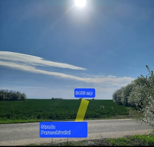 Teren intravilan 3400mp.La 30km de București.Localitatea Valea Plopilor.Proprietar direct - imagine 2