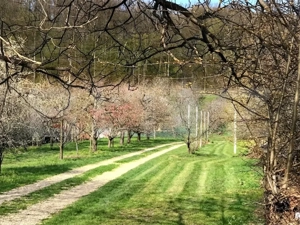  Teren mixt -construibil (intravilan) + livadă matură (Extravilan) – La DN 72A