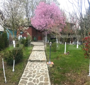  Casă premium cu panoramă asupra orașului – garaj dublu, 774 mp teren - imagine 5