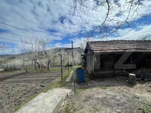 Locuinta in Ticu-Colonie (Casa de vacanta la un pret corect!) - imagine 3